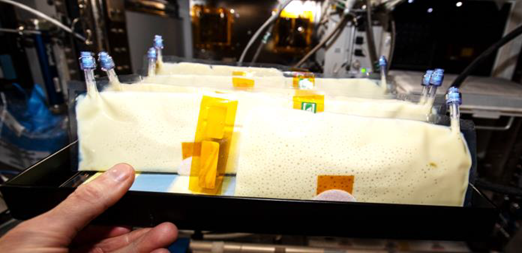 Bionutrients2 yogurt